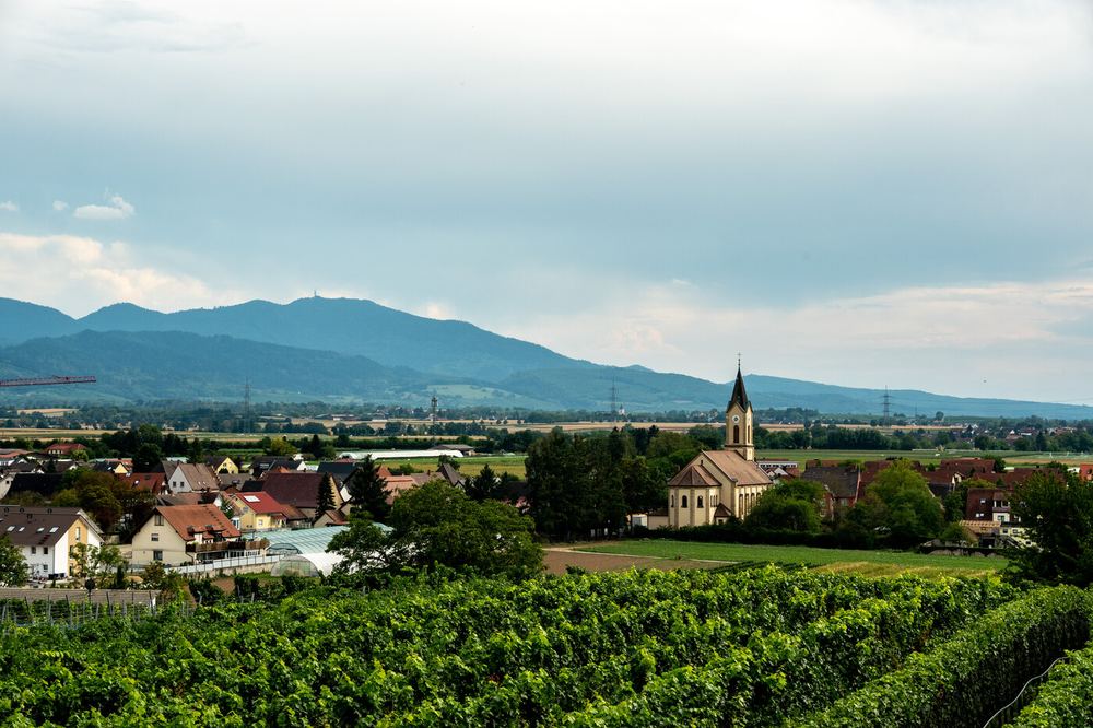 Bad Krozingen mit Kurpark