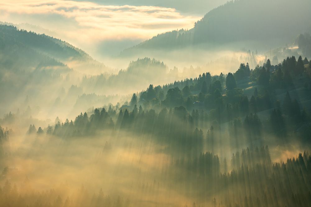 Schwarzwald bei Münstertal